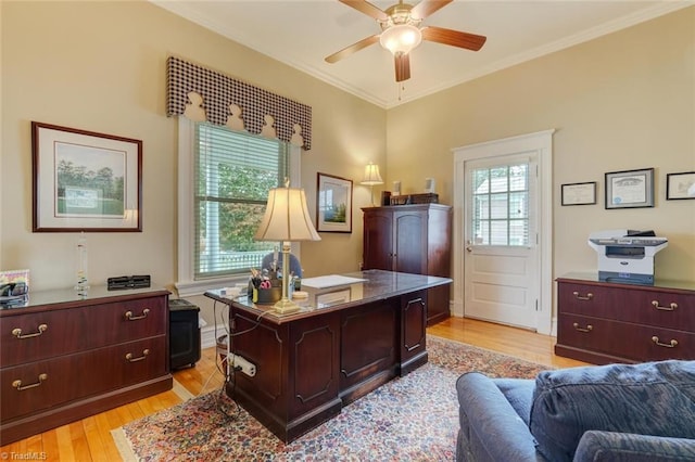 home office with crown molding, ceiling fan, and light hardwood / wood-style floors