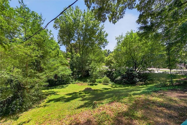 503 Tarleton Ave, Burlington, NC 27215 - view of green lawn