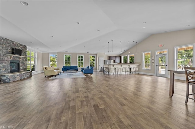 653 Piedmont Crossing Dr, High Point, NC 27265 - living area featuring wood finished floors, plenty of natural light, a stone fireplace, and high vaulted ceiling