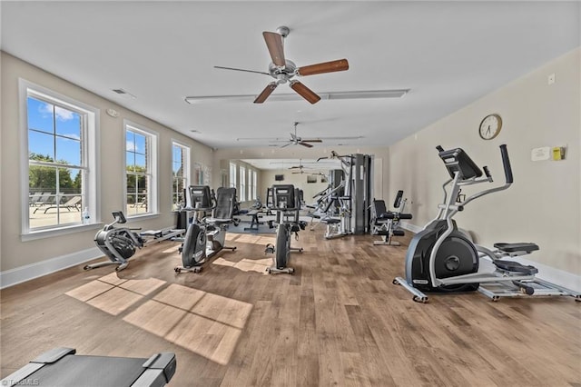 653 Piedmont Crossing Dr, High Point, NC 27265 - workout area featuring wood finished floors and a ceiling fan