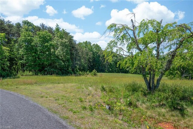 0 Twin Cedars Rd, Yadkinville, NC 27055