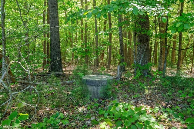 0 Twin Cedars Rd, Yadkinville, NC 27055
