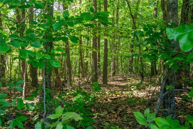 0 Twin Cedars Rd, Yadkinville, NC 27055