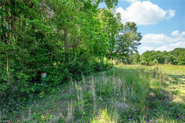0 Twin Cedars Rd, Yadkinville, NC 27055