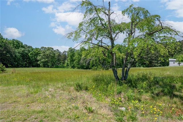 0 Twin Cedars Rd, Yadkinville, NC 27055