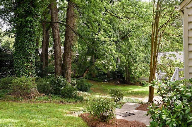 515 N Pine Valley Rd N, Winston-Salem, NC 27106 - view of green lawn