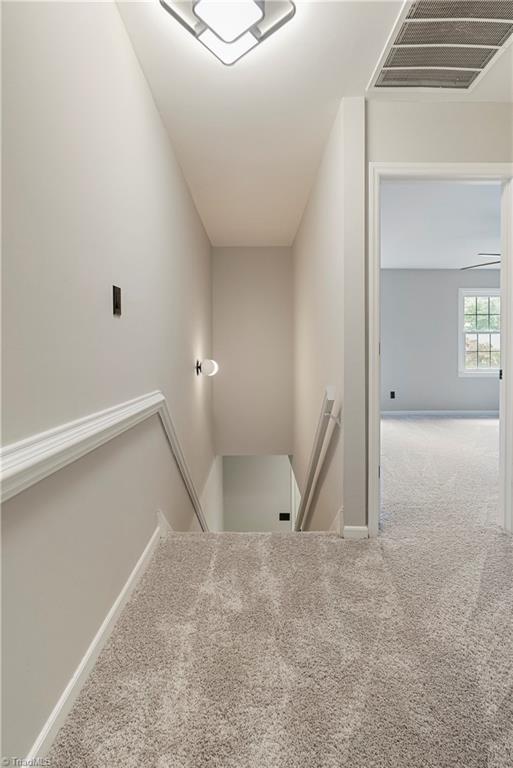 staircase featuring carpet flooring