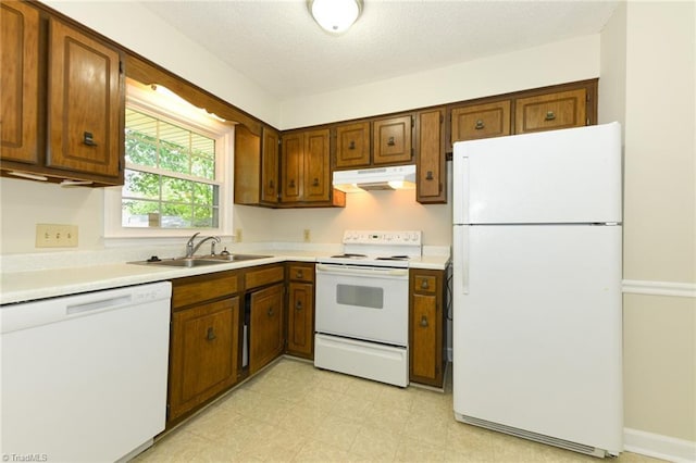 kitchen with white appliances, under cabinet range hood, a sink, light countertops, and brown cabinetry