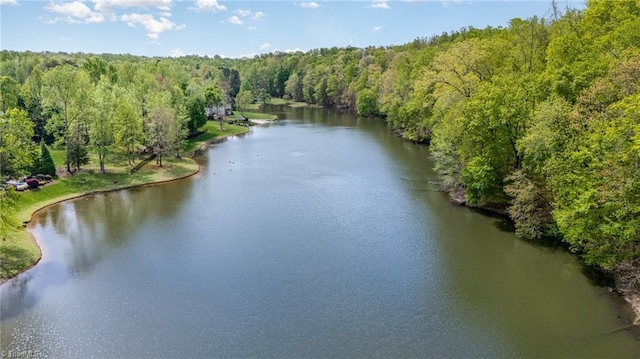 6323 Nesting Way, Oak Ridge, NC 27310 - birds eye view of property featuring a view of trees and a water view