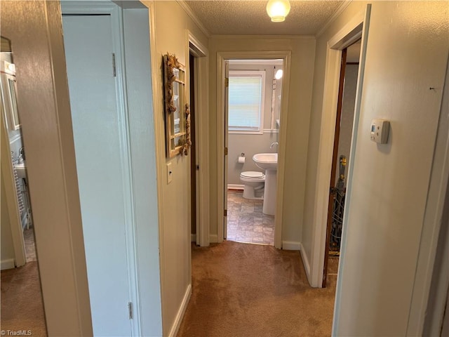 1632 Sanford Dr, Winston-Salem, NC 27105 - corridor with ornamental molding, baseboards, carpet, and a textured ceiling