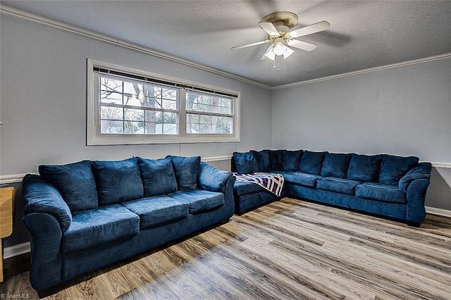 living room featuring a textured ceiling, hardwood / wood-style flooring, and ornamental molding