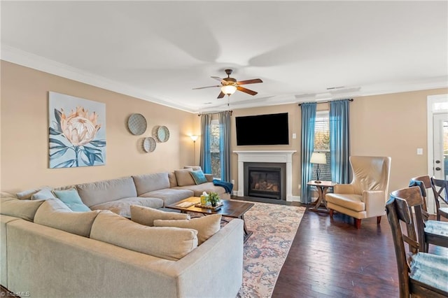 living room featuring ceiling fan, dark hardwood / wood-style flooring, and ornamental molding