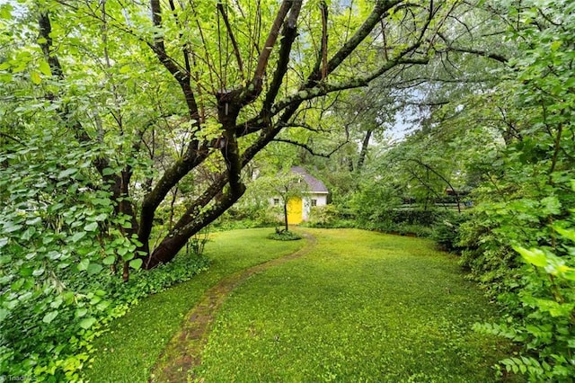 986 Avon Rd, Winston-Salem, NC 27104 - view of grassy yard