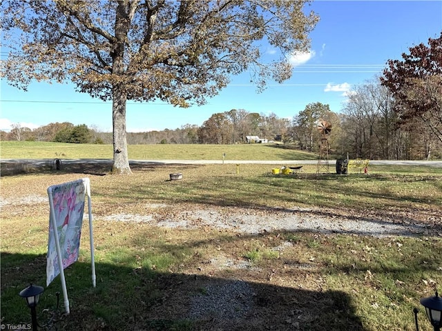 view of yard