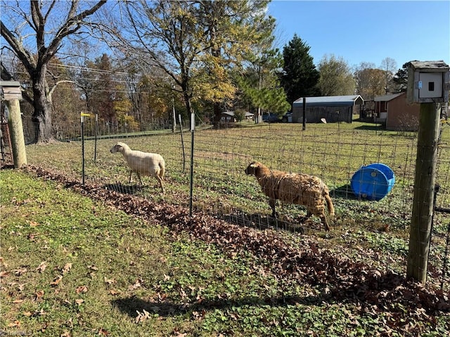 view of yard with a rural view