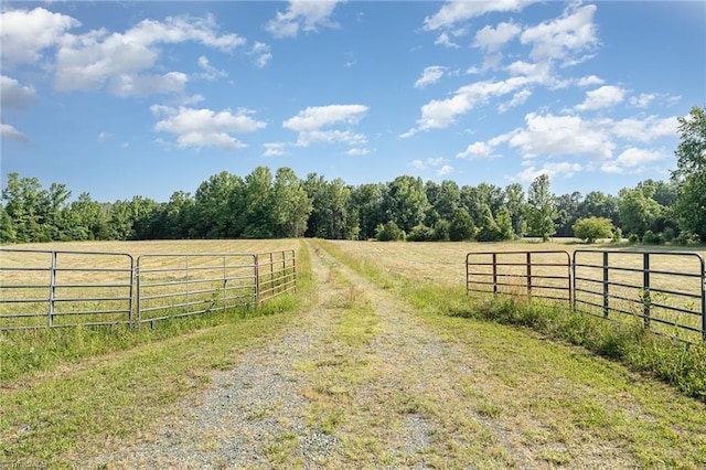 6520 Phillippi Rd, Liberty, NC 27298