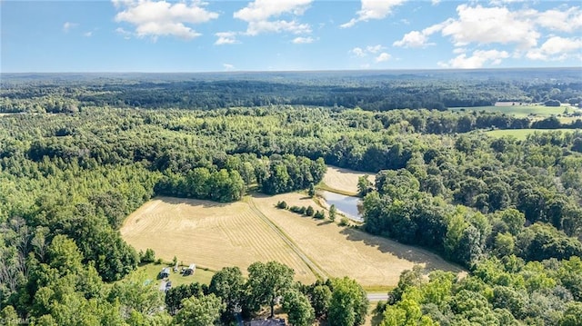 6520 Phillippi Rd, Liberty, NC 27298