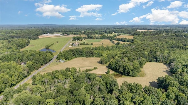 6520 Phillippi Rd, Liberty, NC 27298