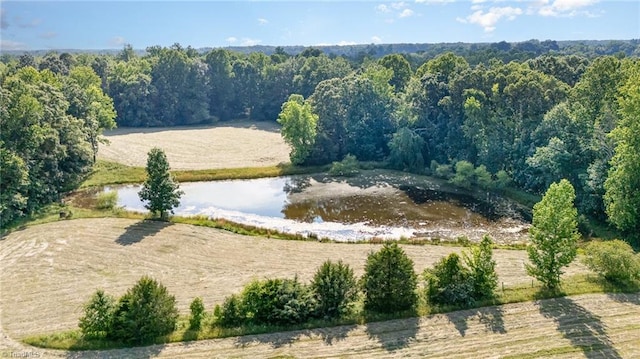 6520 Phillippi Rd, Liberty, NC 27298