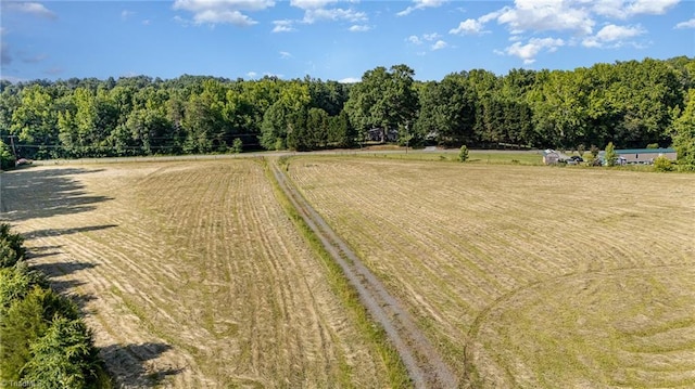 6520 Phillippi Rd, Liberty, NC 27298