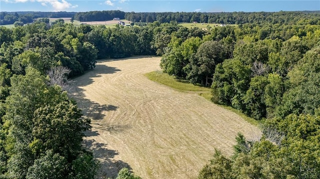 6520 Phillippi Rd, Liberty, NC 27298