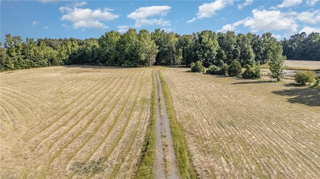 6520 Phillippi Rd, Liberty, NC 27298