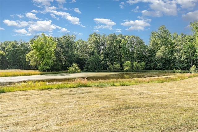 6520 Phillippi Rd, Liberty, NC 27298