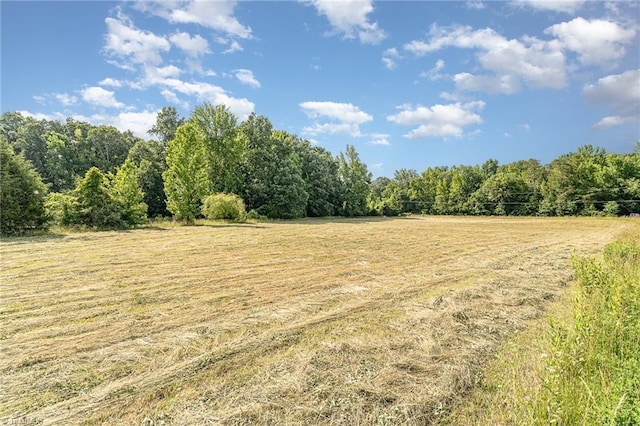 6520 Phillippi Rd, Liberty, NC 27298