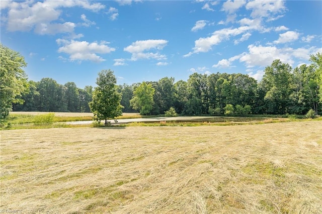 6520 Phillippi Rd, Liberty, NC 27298