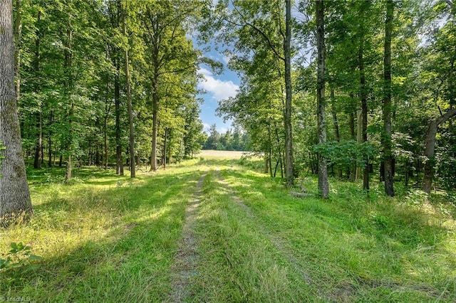 6520 Phillippi Rd, Liberty, NC 27298