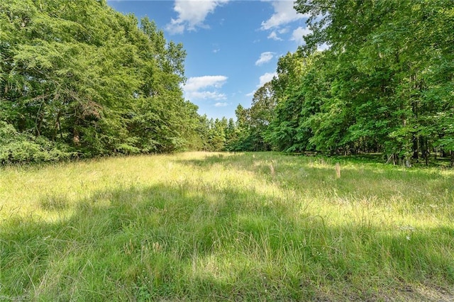 6520 Phillippi Rd, Liberty, NC 27298