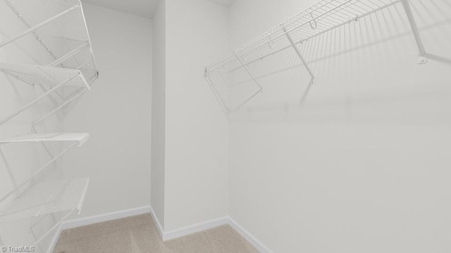 6601 Grogan Hill Rd, Whitsett, NC 27377 - spacious closet featuring carpet floors