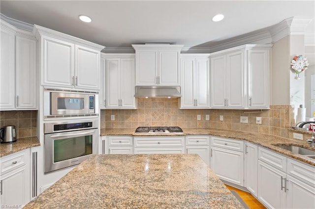 kitchen featuring stainless steel appliances, sink, ventilation hood, and white cabinets