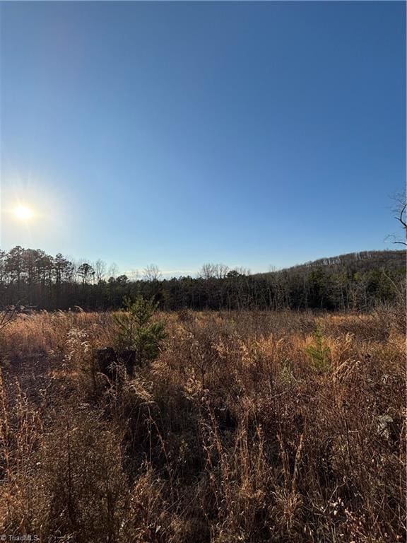 0 Homestead, Trinity NC, 27370 land for sale