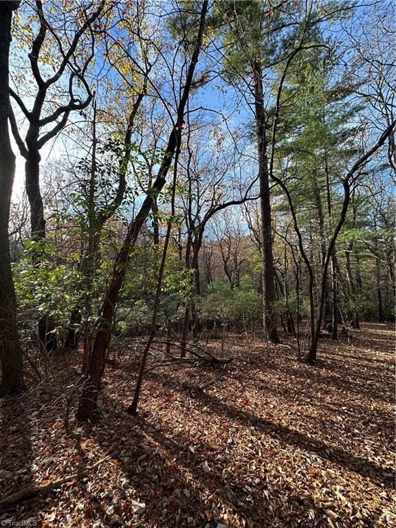 TBD Courtland Ln, Lowgap, NC 27024