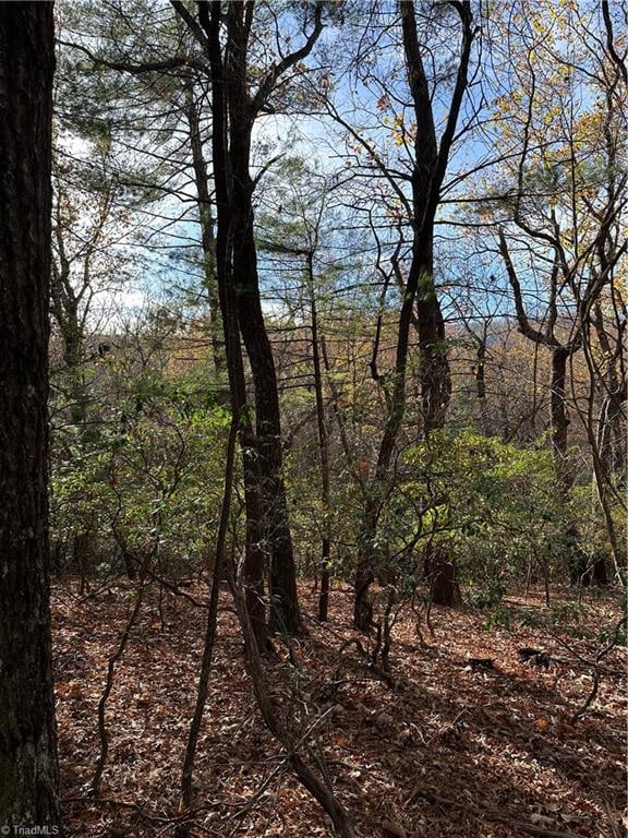 TBD Courtland Ln, Lowgap, NC 27024