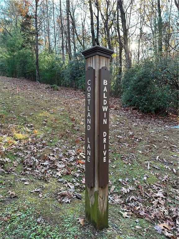 TBD Courtland Ln, Lowgap, NC 27024