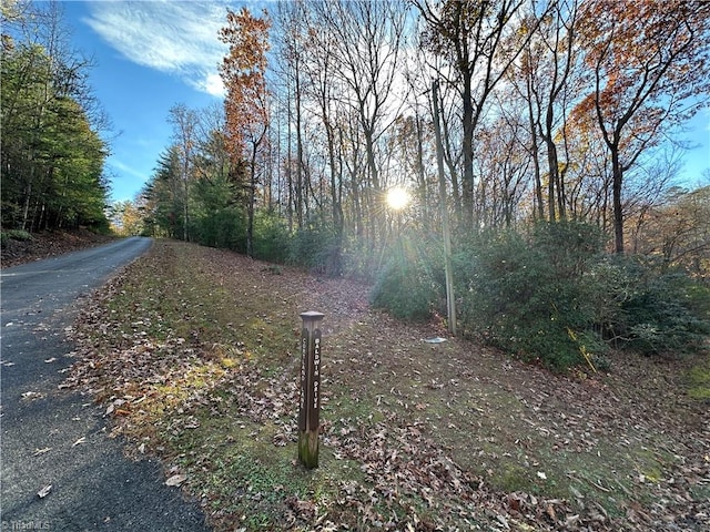 TBD Courtland Ln, Lowgap, NC 27024