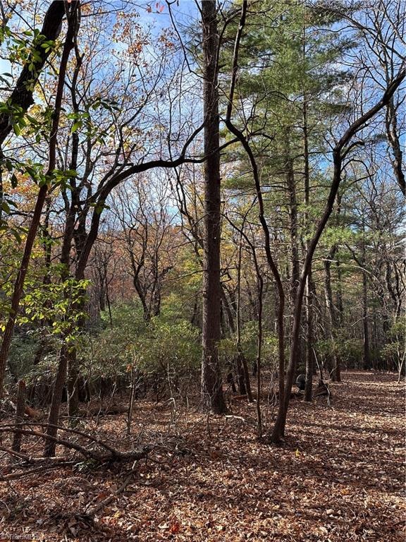 TBD Courtland Ln, Lowgap, NC 27024