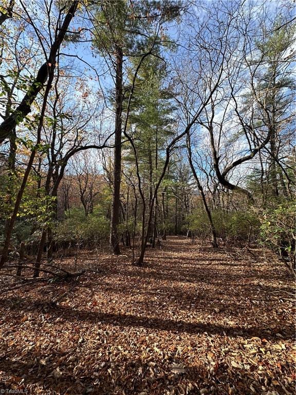 TBD Courtland Ln, Lowgap, NC 27024