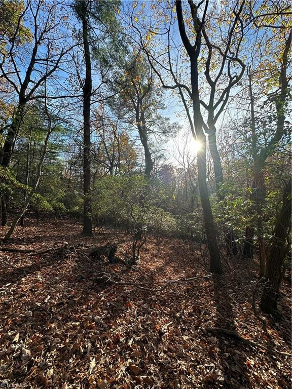 TBD Courtland Ln, Lowgap, NC 27024