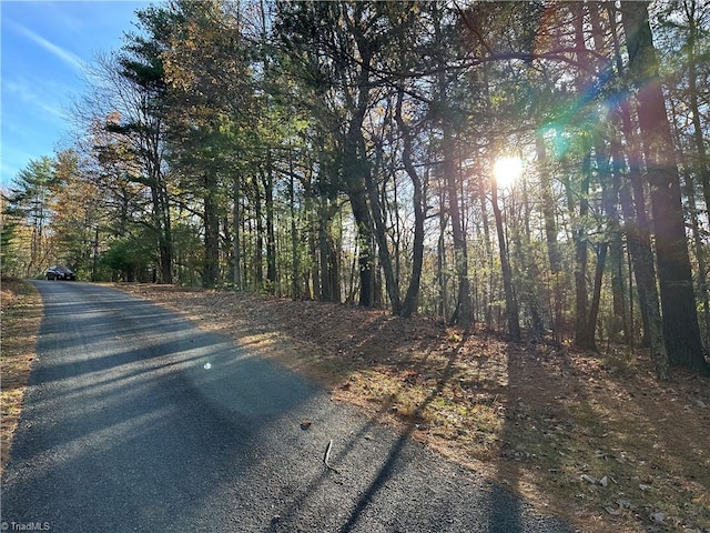 TBD Courtland Ln, Lowgap, NC 27024