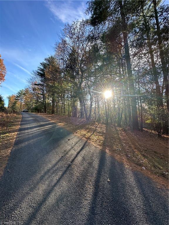 TBD Courtland Ln, Lowgap, NC 27024