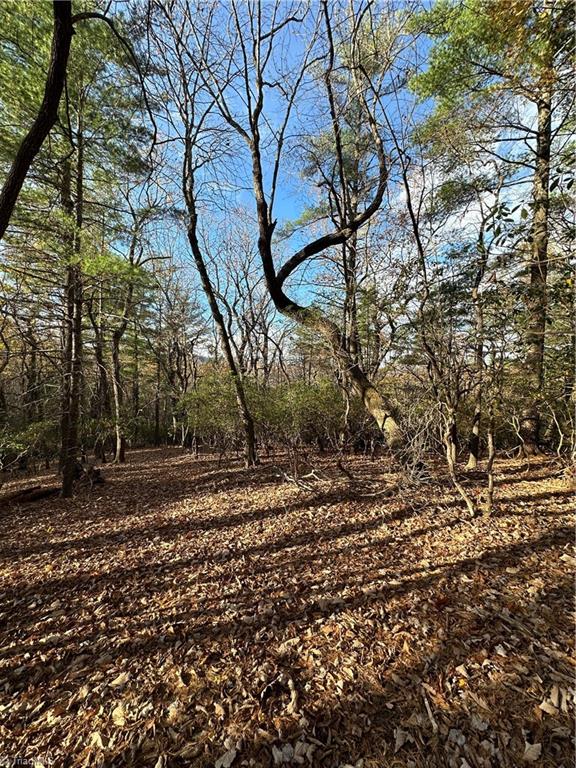 TBD Courtland Ln, Lowgap, NC 27024