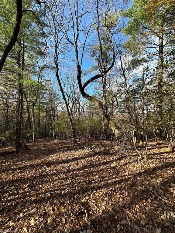 TBD Courtland Ln, Lowgap, NC 27024