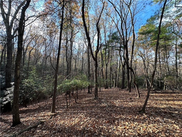 TBD Courtland Ln, Lowgap, NC 27024