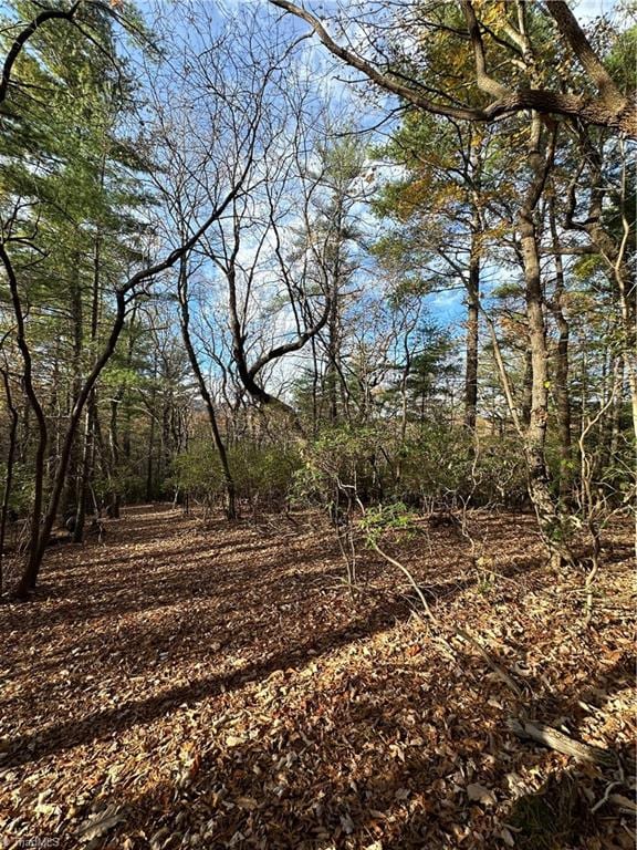 TBD Courtland Ln, Lowgap, NC 27024
