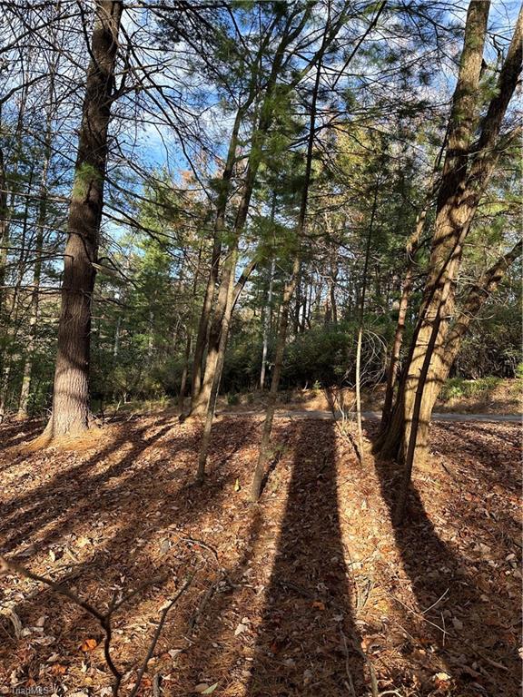 TBD Courtland Ln, Lowgap, NC 27024