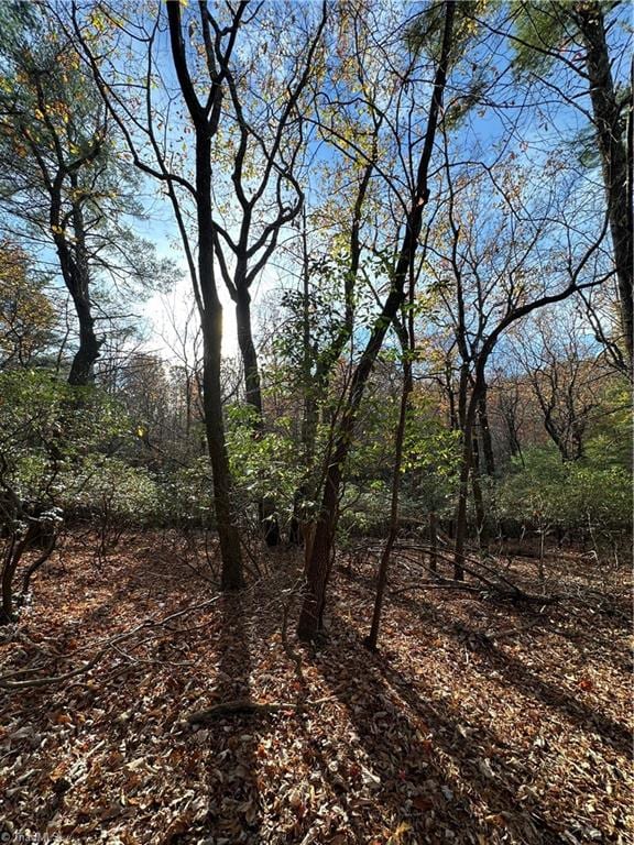 TBD Courtland Ln, Lowgap, NC 27024