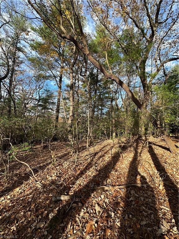 TBD Courtland Ln, Lowgap, NC 27024